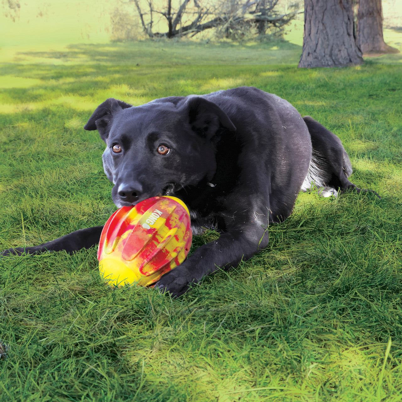 Kong Flexball Sport Football