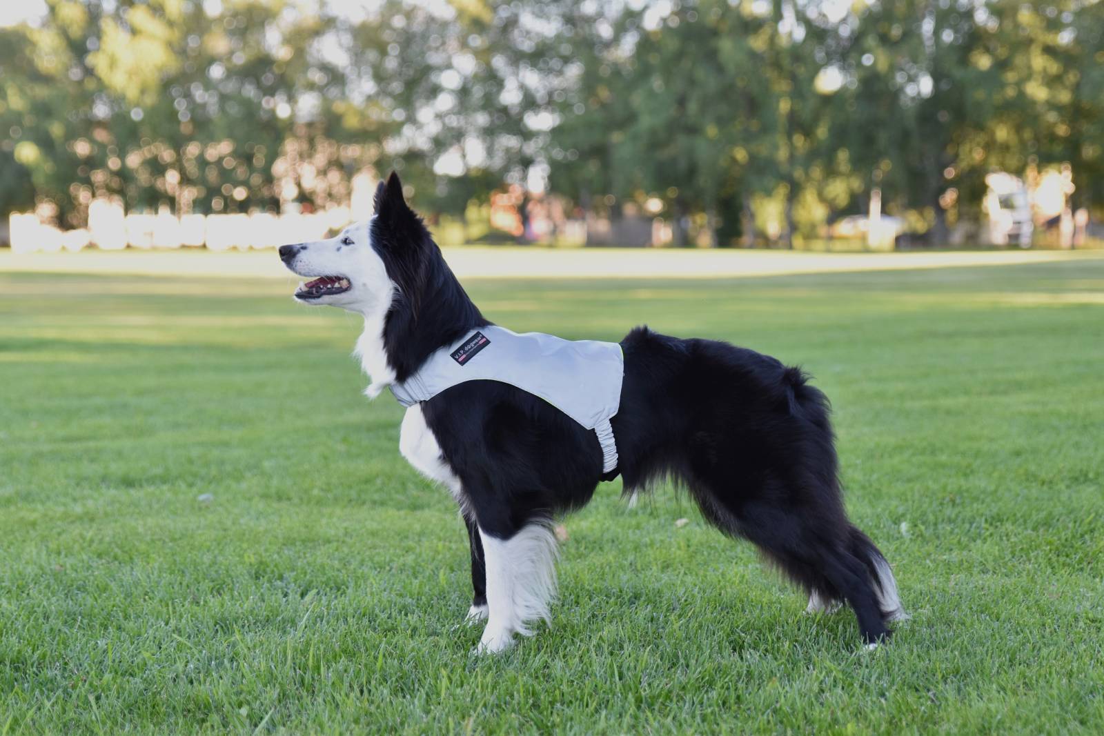 VIP REFLEX Endurskinsvesti/snúanleg