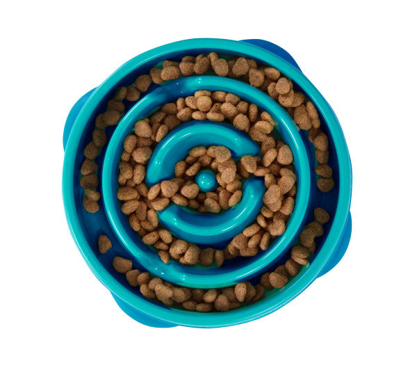 Fun Feeder Drop Turquoise medium