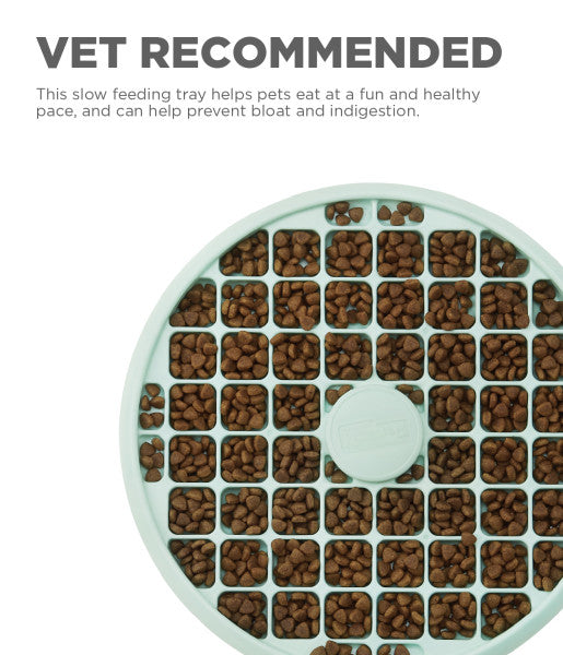 Fun Feeder Slow Feeder Tray