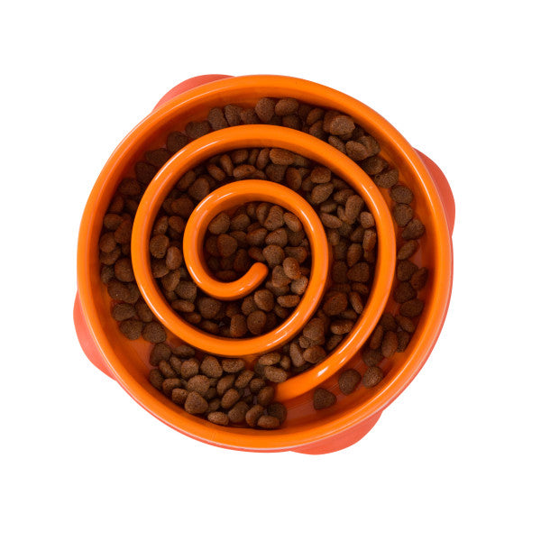 Fun Feeder Swirl Orange medium