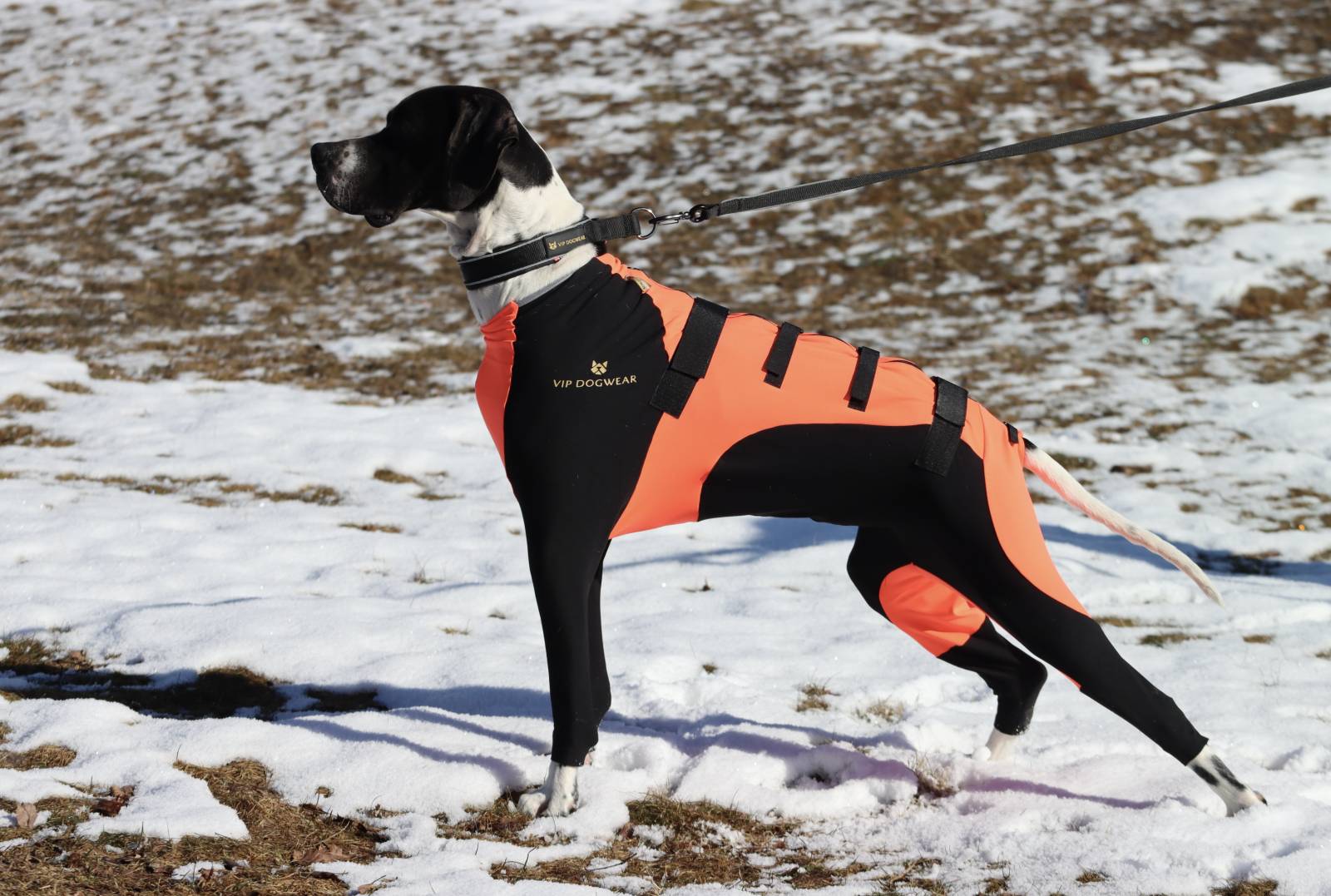 VIP Snjógallar á tíkur