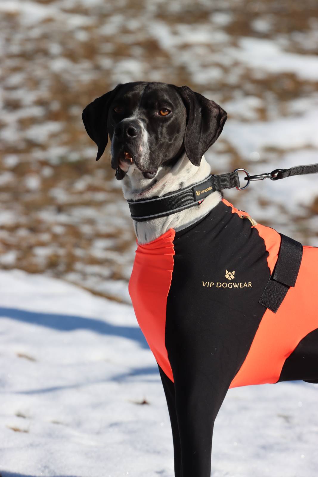 VIP Snjógallar á rakka