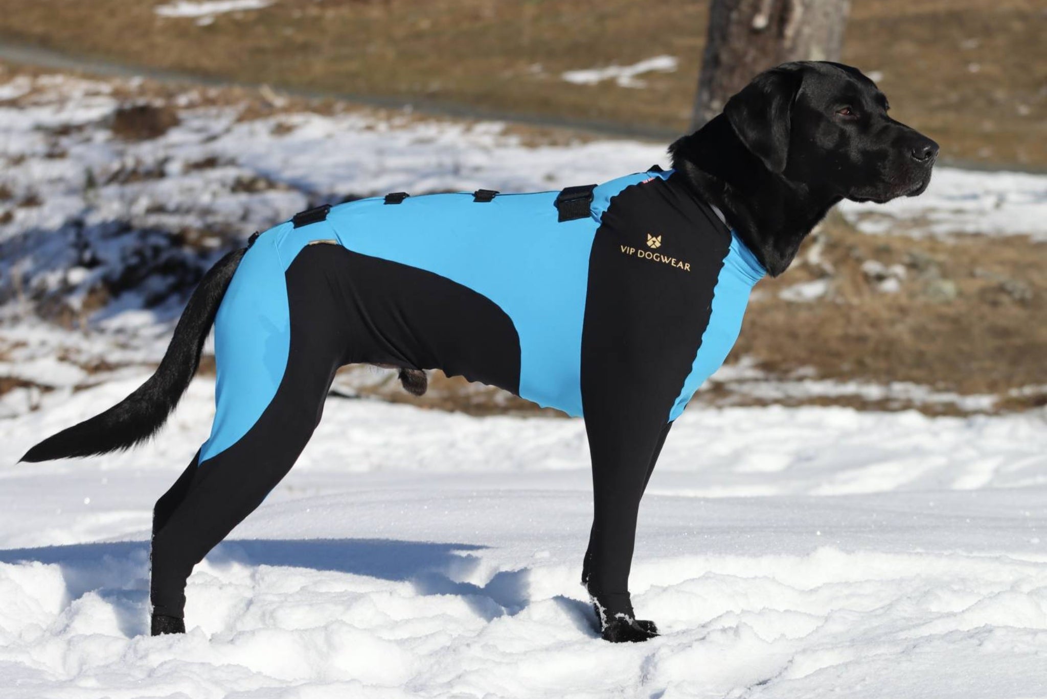 VIP Snjógallar á rakka