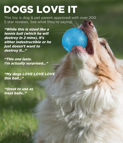 Orka Ball Treat Dispensing