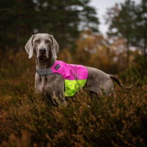 VIP Breheimen sýnileikavesti