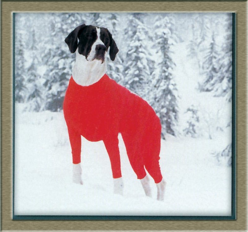 Superdekken heilgalli