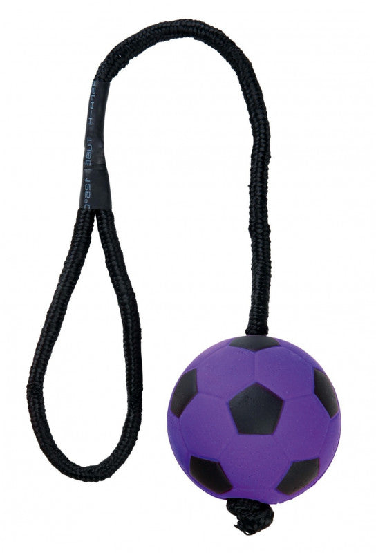 Trixie boltar í bandi