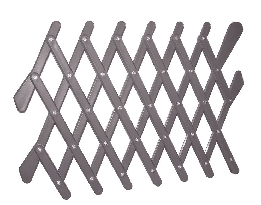 Öryggisgrind í bílglugga