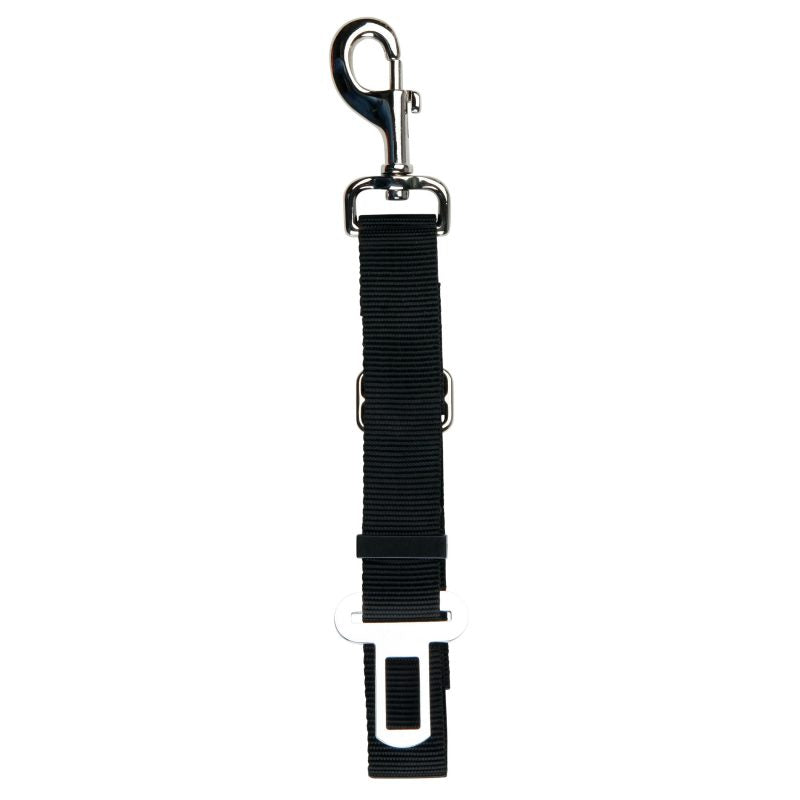 Öryggisbeltisfesting