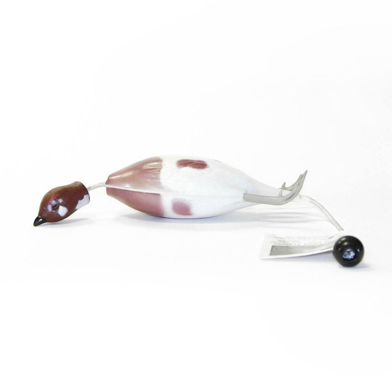 Dokken's gervifugl - Rjúpa