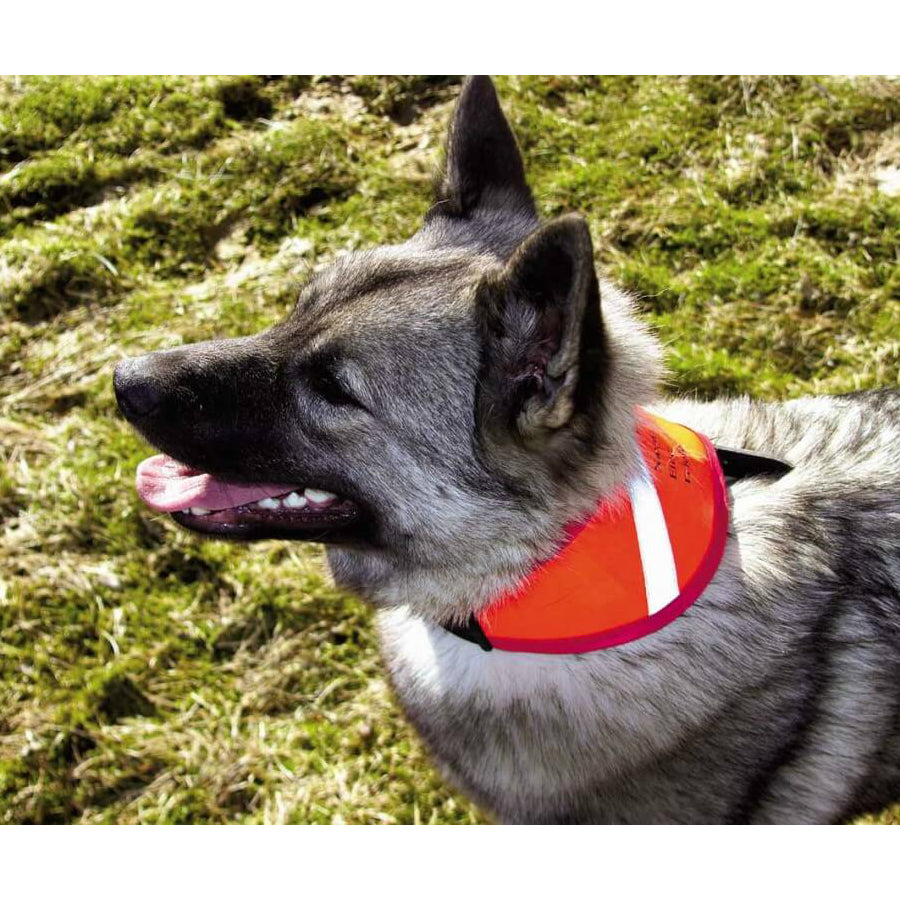 Jæger & hund endurskinsól