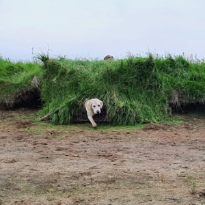 Heavy Hauler The HUB Blind