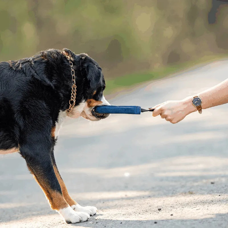 Sprenger tug samvinnu og sækileikfang úr leðri
