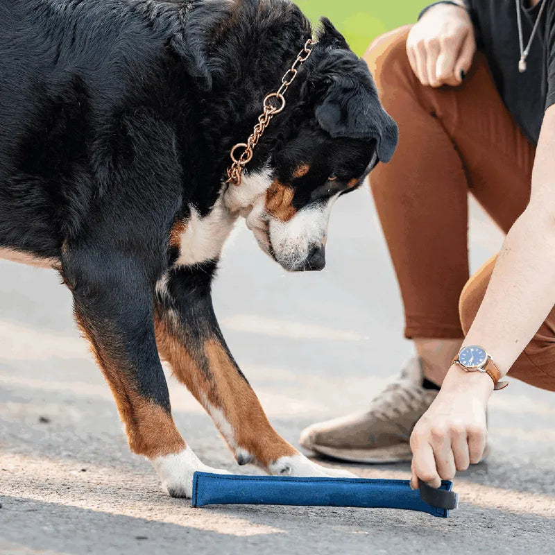 Sprenger tug samvinnu og sækileikfang úr leðri
