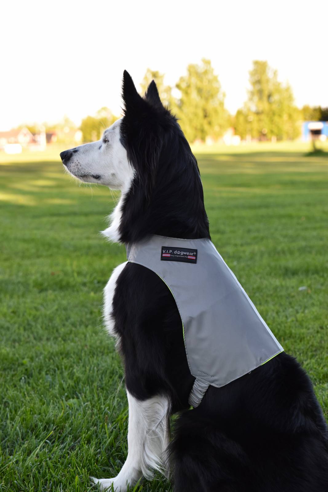 VIP REFLEX Endurskinsvesti/snúanleg