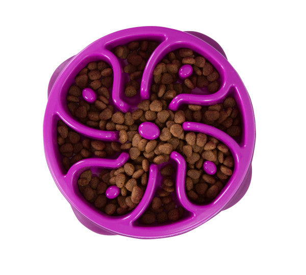 Fun Feeder Flower Purple medium