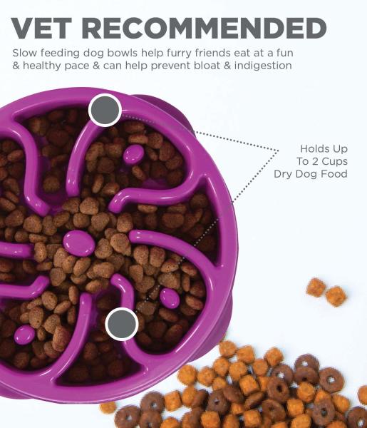 Fun Feeder Flower Purple medium