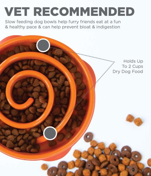 Fun Feeder Swirl Orange medium