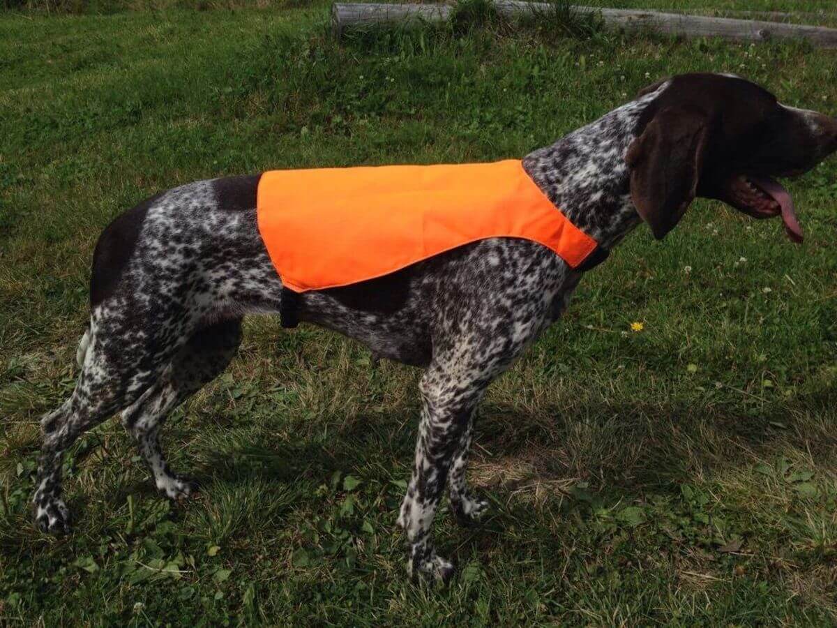 VIP HUNTING Tundra veiðivesti