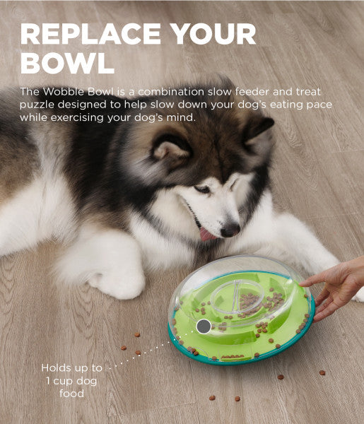 Wooble Bowl Dispensing