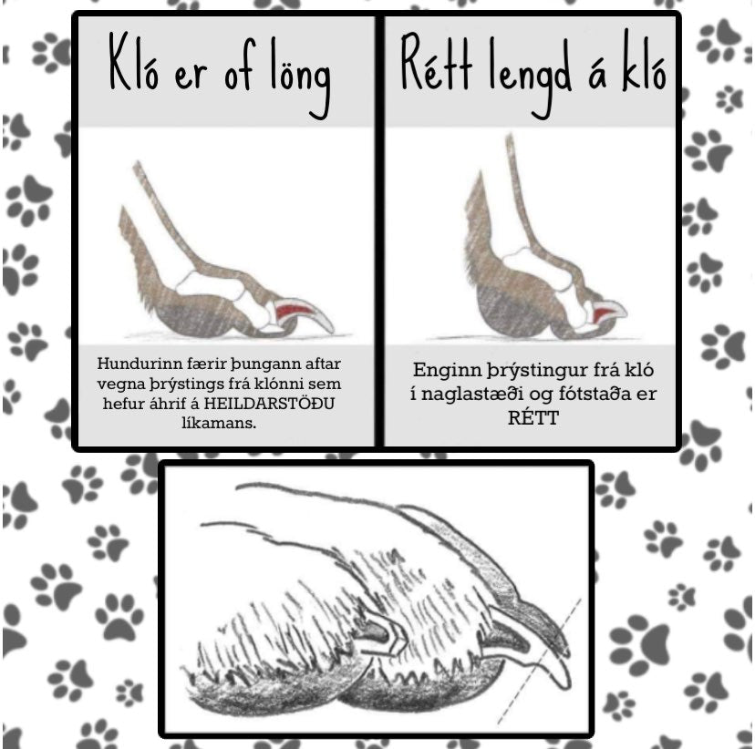 Klóaklippur Millers Forge