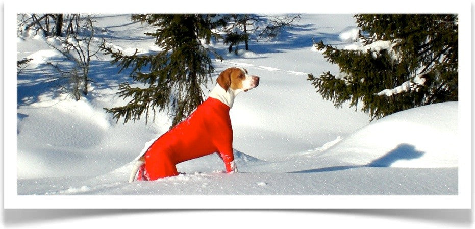 Superdekken heilgalli