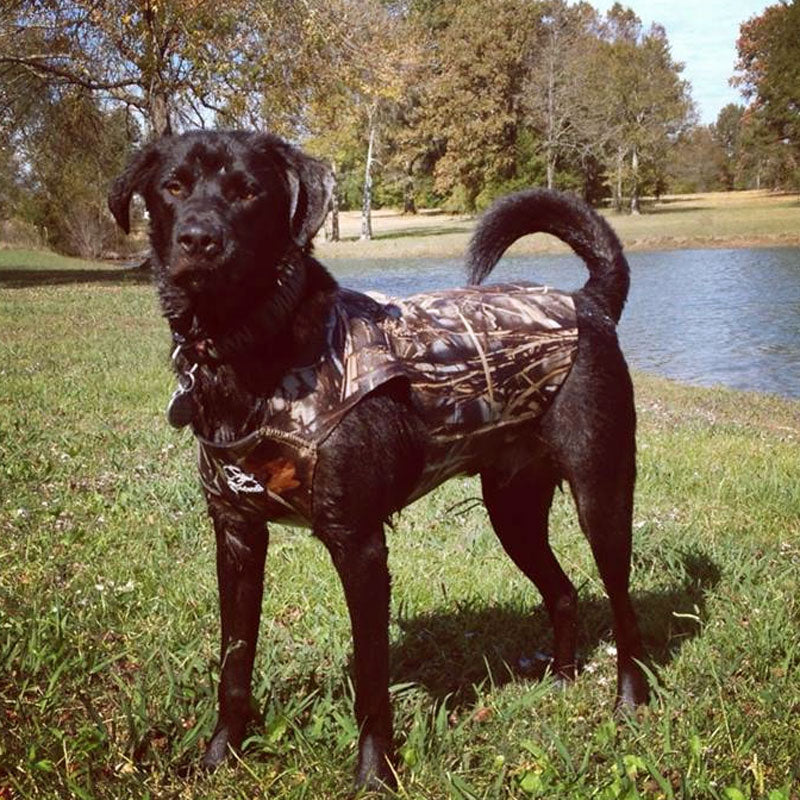 Dokken's Neoprene vesti