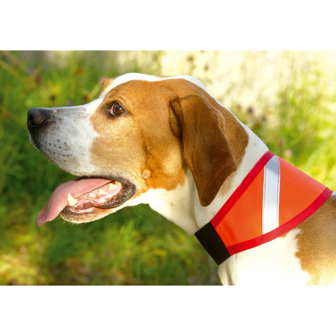 Jæger & hund endurskinsól