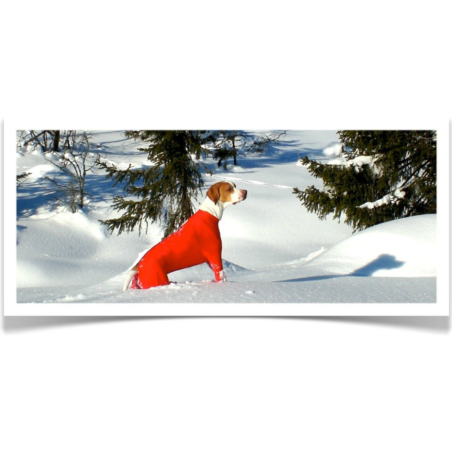 Superdekken heilgalli