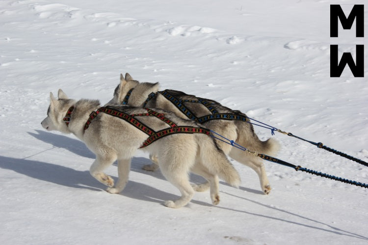 Manmat dráttarbeisli