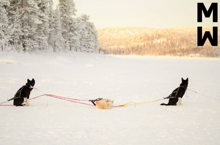 Manmat dráttarbeisli