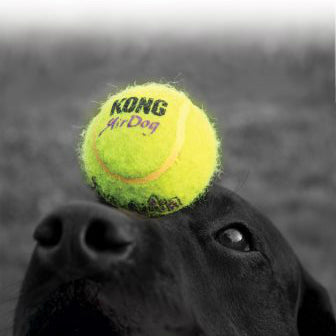 Kong tennisboltar