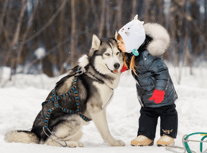 Manmat dráttarbeisli