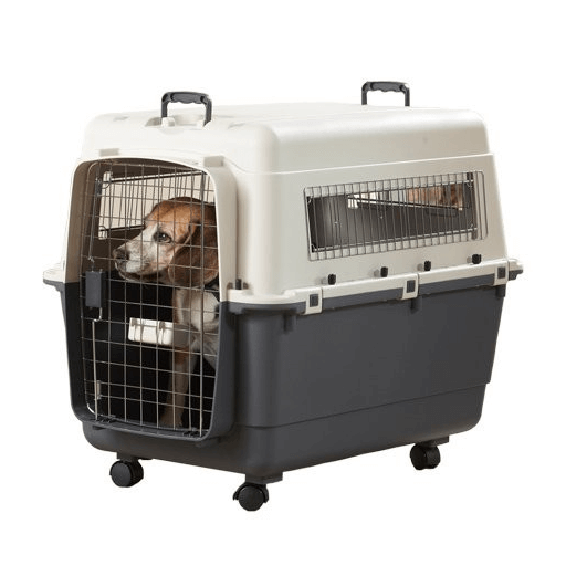 Aviation Nomad ferðaplastbúr