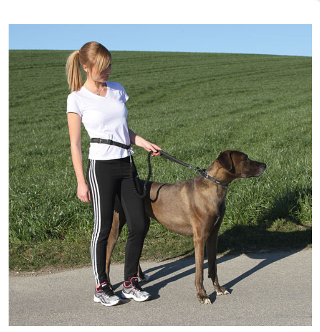 Mittisbelti m/teygjutaum