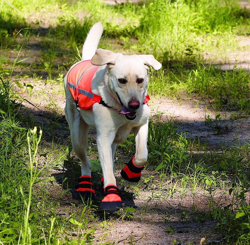 Hundaskór Rugged boots