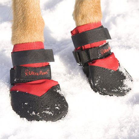 Hundaskór Rugged boots