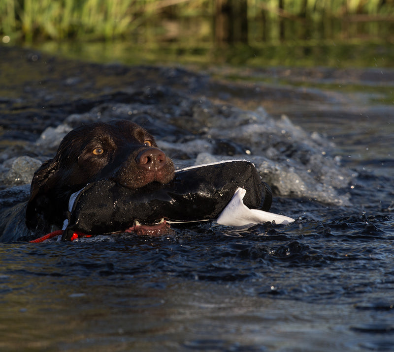 Strobe dummy á launcher